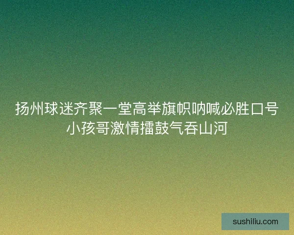 扬州球迷齐聚一堂高举旗帜呐喊必胜口号小孩哥激情擂鼓气吞山河