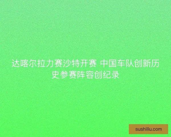 达喀尔拉力赛沙特开赛 中国车队创新历史参赛阵容创纪录